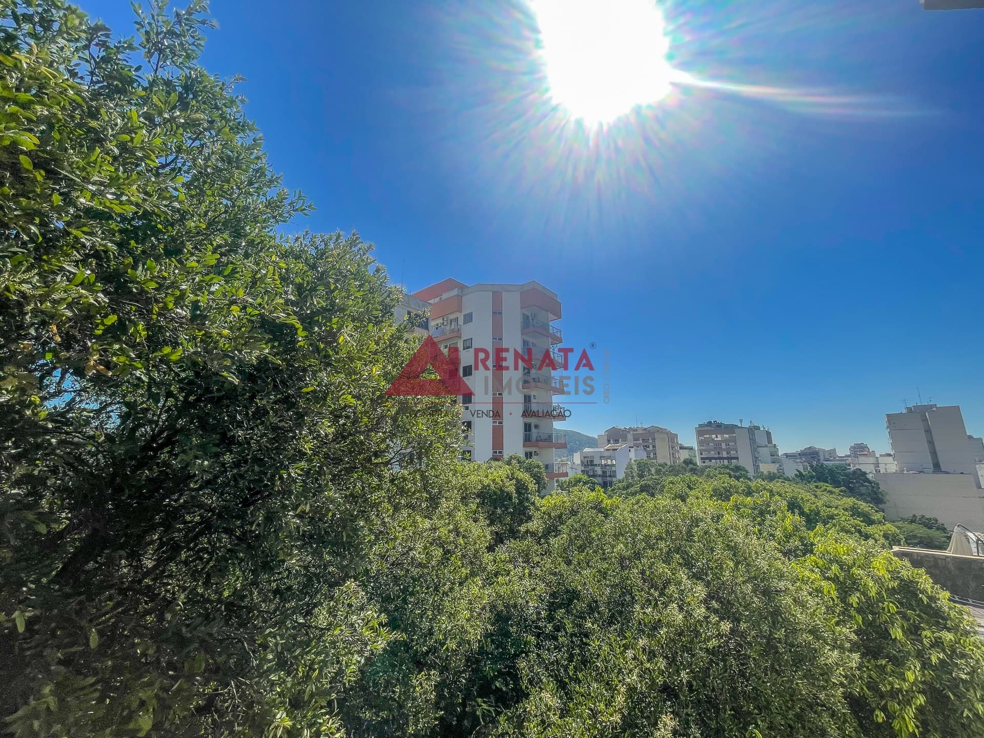 Vista