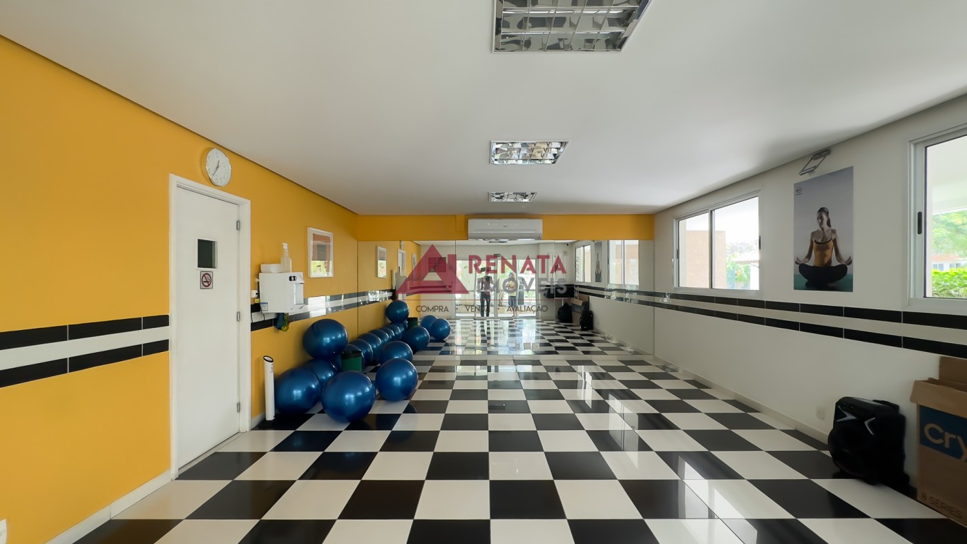 S. DE GINASTICA